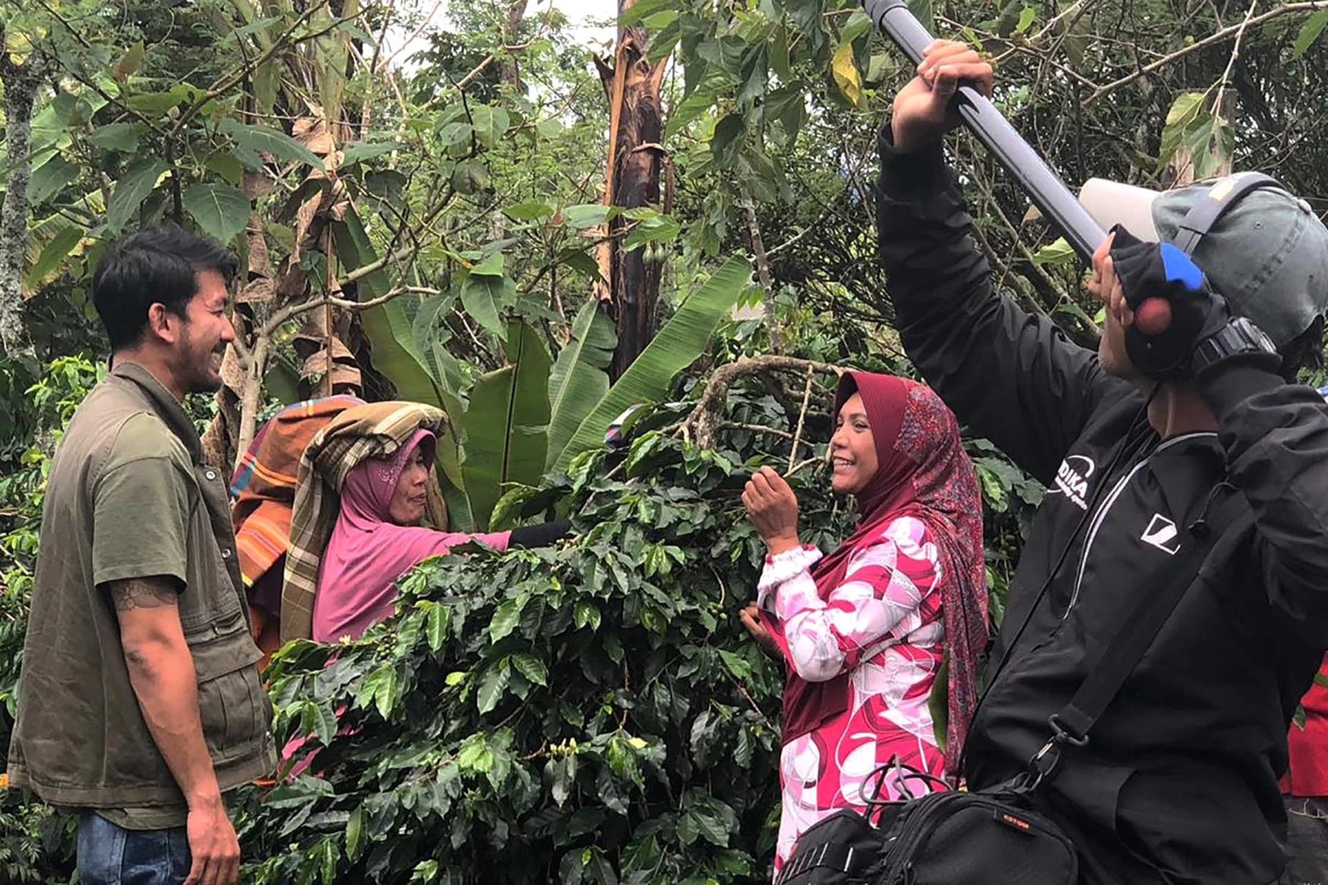 I lavoratori vengono ripresi mentre stanno raccogliendo il caffè