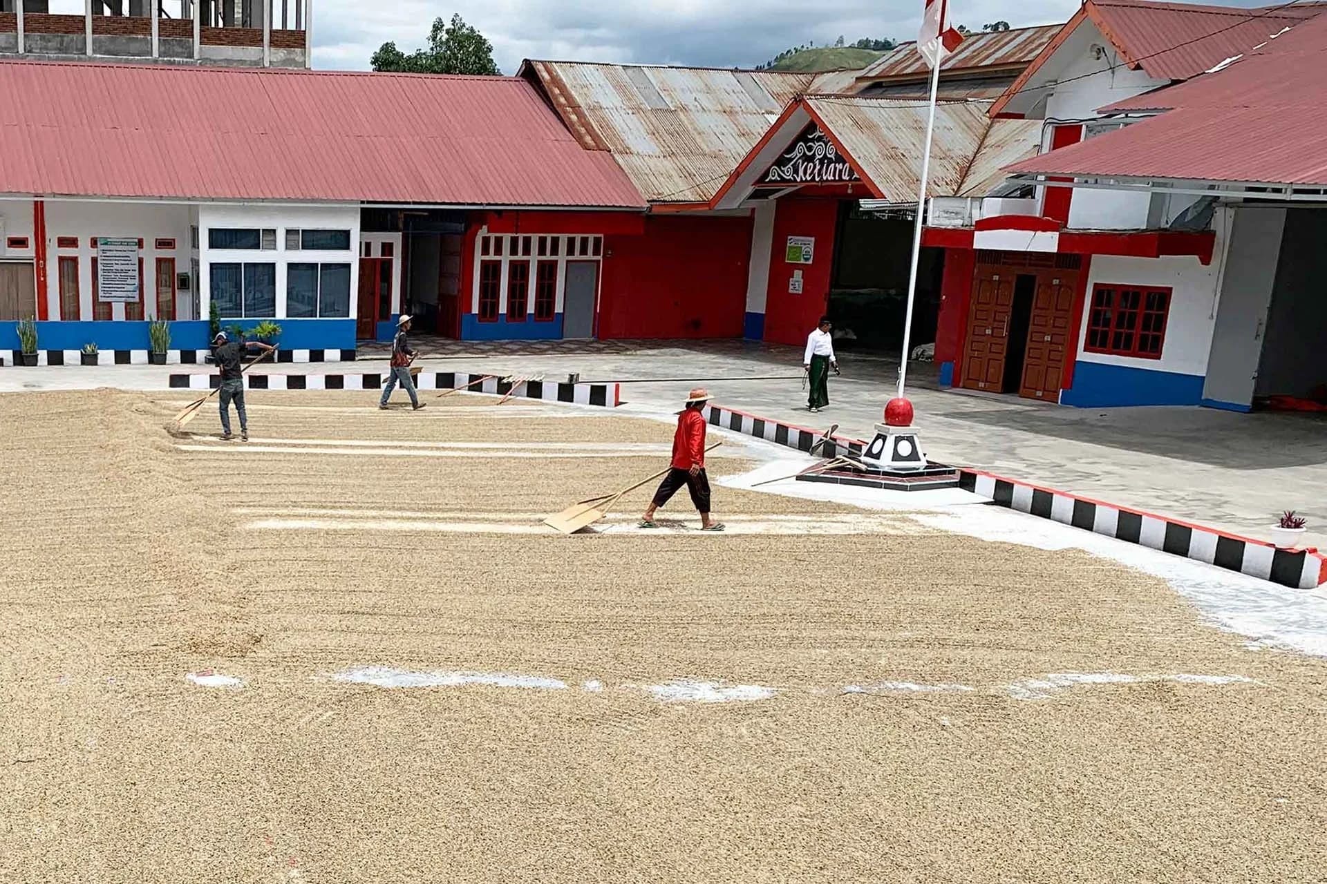 Alcune persone stanno stendendo il caffè per l'essiccazione