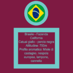 Etichetta parte superiore