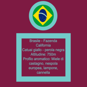 Etichetta parte superiore