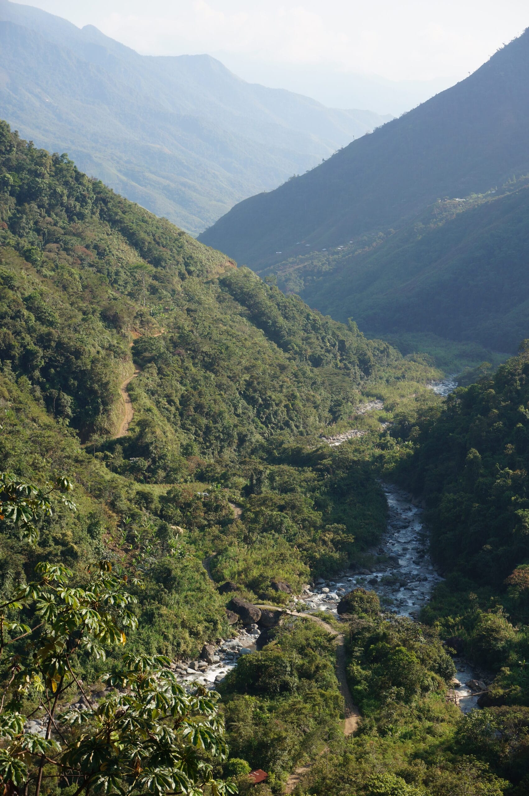 Montagne in Perù dove si coltiva il caffè