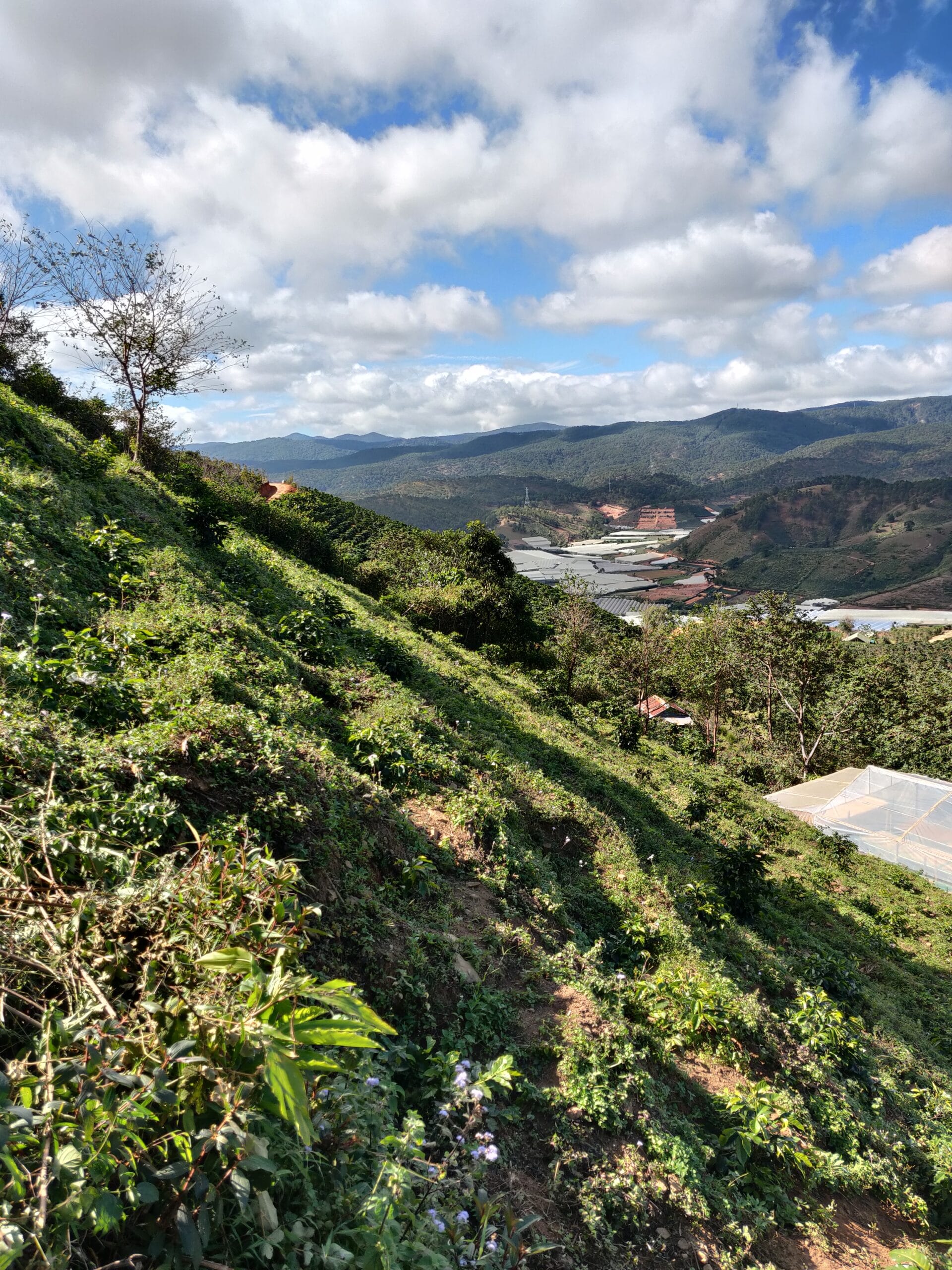 Montagne in Vietnam dove si coltiva il caffè